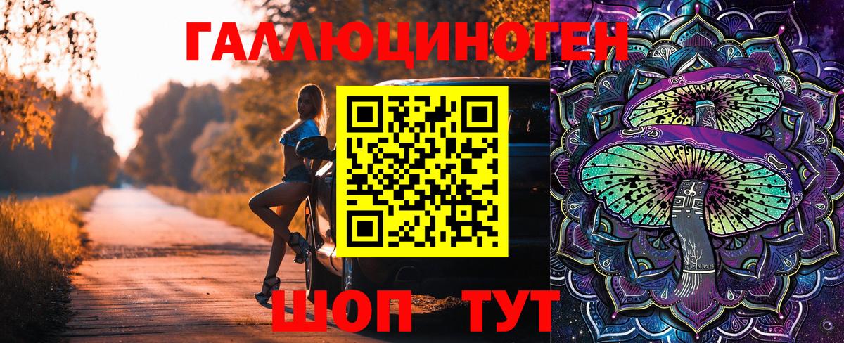 Будённовск  Псилоцибиновые грибы мухоморы  Вход с VPN 